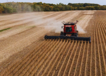 Trump Unveils Farm Aid to Offset China Trade Impact