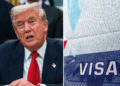 State Department Freezes Visa Processing for 75 Nations