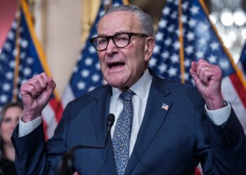 Schumer Responds to Voter ID Question